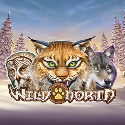 Wild North