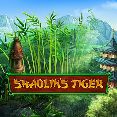 Shaolin's Tiger