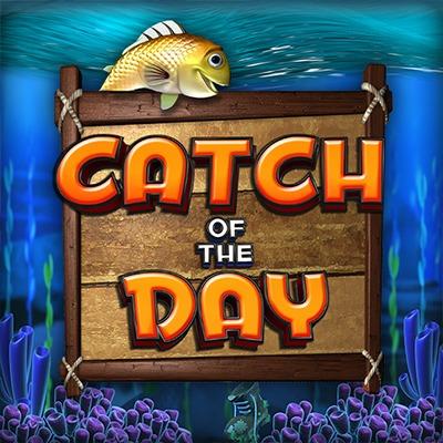 Catch of the Day