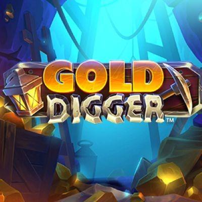Gold   Digger